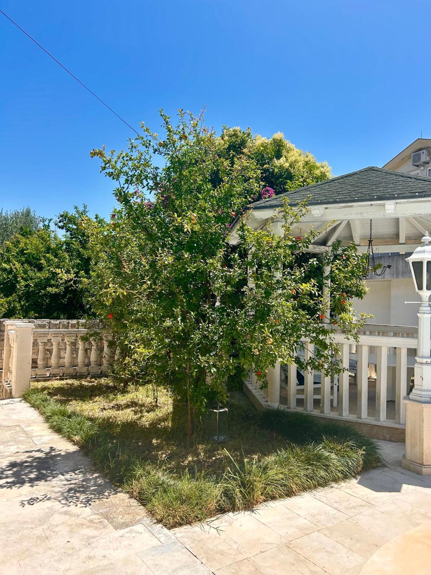 Guest House Vila Eli แฮร์เซ็ก-โนวี ภายนอก รูปภาพ
